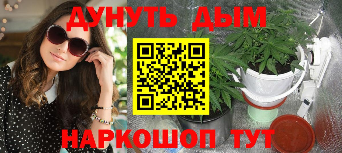 Бошки марихуана сатива Кандалакша